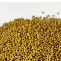 بذر یونجه