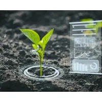 مشاوره و فروش سم و کود کشاورزی وباغ مرکبات گابریست