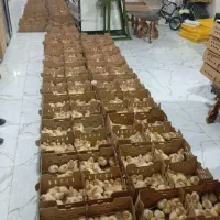 تولید وتوزیع خوراک دام سبک وسنگین