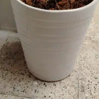 گلدان سرامیکی