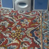 اسپیکر|سیستم صوتی خانگی|زابل, |دیوار