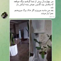 گلدان|حراج|ملایر, |دیوار