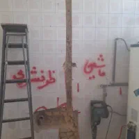 پیکور کاری وشیارزنی وکرگیر|خدمات پیشه و مهارت|حمیدیا, |دیوار