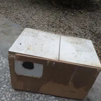 لانه طوطی و مرغ عشق