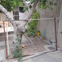 دار کول گلیم