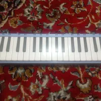 ساز مدل madelnchlnaسالم نو|سازهای بادی|محمدیه-قزوین, |دیوار