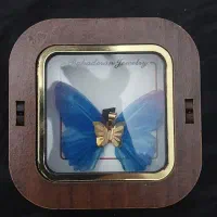 طلای بدون اجرت|جواهرات|بوشهر, |دیوار