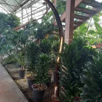 آباژور|چراغ خواب و آباژور|چهارباغ, |دیوار
