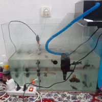 اکواریوم کامل