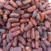 پخش خرما پیارم صادراتی