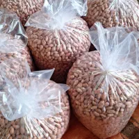 بادام زمینی گلی و اطلس آفتاب خشک و برشته صورتی