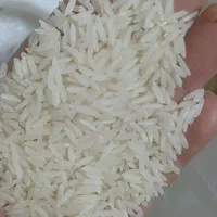 برنج کاملا ایرانی و یکدست و خوش قیمت|خوردنی و آشامیدنی|تهران, گمرک|دیوار