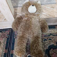 اندازه خرس بیشتر از یه متر