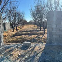 باغچه چهاردیواری در بافت شهری