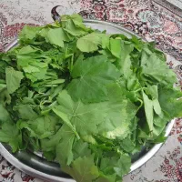 برگ مو مناسب|خوردنی و آشامیدنی|ارومیه, |دیوار