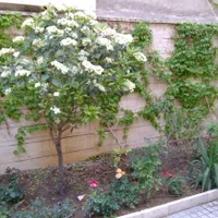 ۱۷۲ متری تهرانپارس غربی با ۱۰۰ متر حیاط اختصاصی|فروش آپارتمان|تهران, تهرانپارس غربی|دیوار