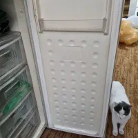 فریزرکوچک سامسونگ بدون برفک|یخچال و فریزر|تهران, جیحون|دیوار