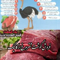 کهره بره گوسفندگاوگوساله میش بوقلمون|حیوانات مزرعه|یاسوج, |دیوار