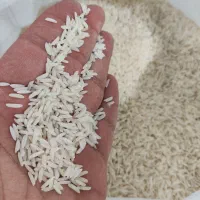 برنج هاشمی دوالکه