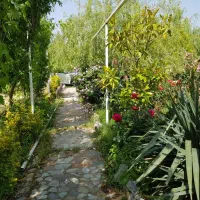 فروش-و-تهاتر-زمین-810-متری-خلج-آباد-کرج