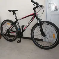 دوچرخه جاینت