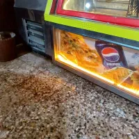 یخچال مغازه