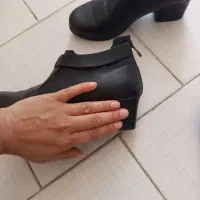 کفش وکتونی|کیف، کفش، کمربند|قم, ولیعصر|دیوار