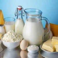 لبنیات محلی از تولید به مصرف