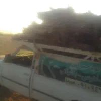 پخش کود چوب بری سم پاشی هرس کاری|خدمات باغبانی و درختکاری|تنکمان, |دیوار