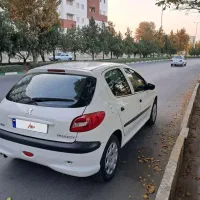 ۲۰۶ تیپ ۲ سالم