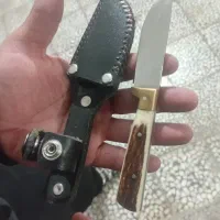 چاقو دست شاخ
