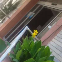 همکار خانم یا آقا پذیرش هتل