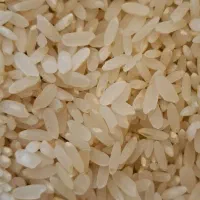 فروش برنج کامفیروزی به شرط|خوردنی و آشامیدنی|کامفیروز, |دیوار