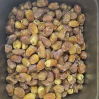 خرما و رطب تازه به قیمت عمده