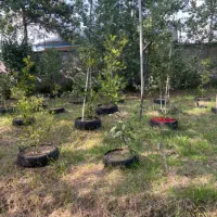 زمین مسکونی جاده انزلی۶۵۰ متری|فروش زمین و ملک کلنگی|رشت, انصاری|دیوار