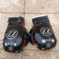 دستکش بوکس ZAND SPORT 16 OZ