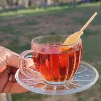 اجاره کلبه سنتی|اجارهٔ کوتاهمدت ویلا و باغ|الیگودرز, |دیوار