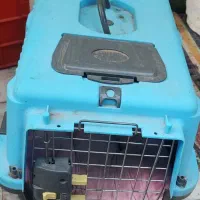 قفس گربه