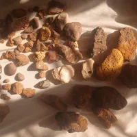 شهاب سنگ|کلکسیون اشیاء عتیقه|شیراز, گویم|دیوار