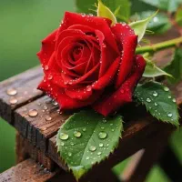 سیم کارت741