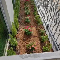 باغبانی و درختکاری (سم پاشی )|خدمات باغبانی و درختکاری|تهران, ونک|دیوار