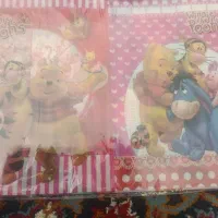 جلددفتردخترانه وپسرانه