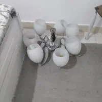 لوستر