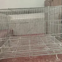 قفس عروس هلندی|لوازم جانبی حیوانات|مرودشت, مسجد رسول‎|دیوار