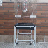 قفس پرنده