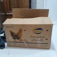 کارتن اسباب کشی