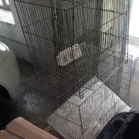 دو عدد قفس پرنده