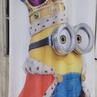 پرده|پرده، رانر، رومیزی|بندر امام خمینی, |دیوار