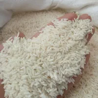 برنج دورود درجه یک با ضمانت پخت