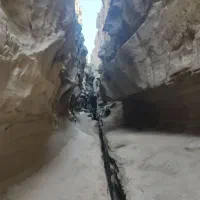 گشت جزیره|تور و چارتر|قشم, |دیوار